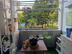 Blk 538 Hougang Street 52 (Hougang), HDB Executive #485186621
